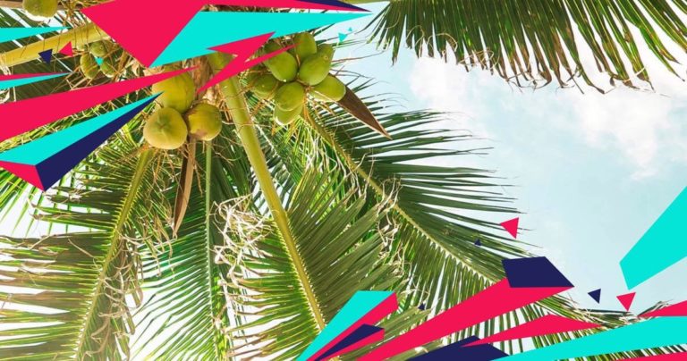 Electric Zoo Cancun 2021