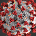 Swallow Events launch rapid COVID-19 testing service