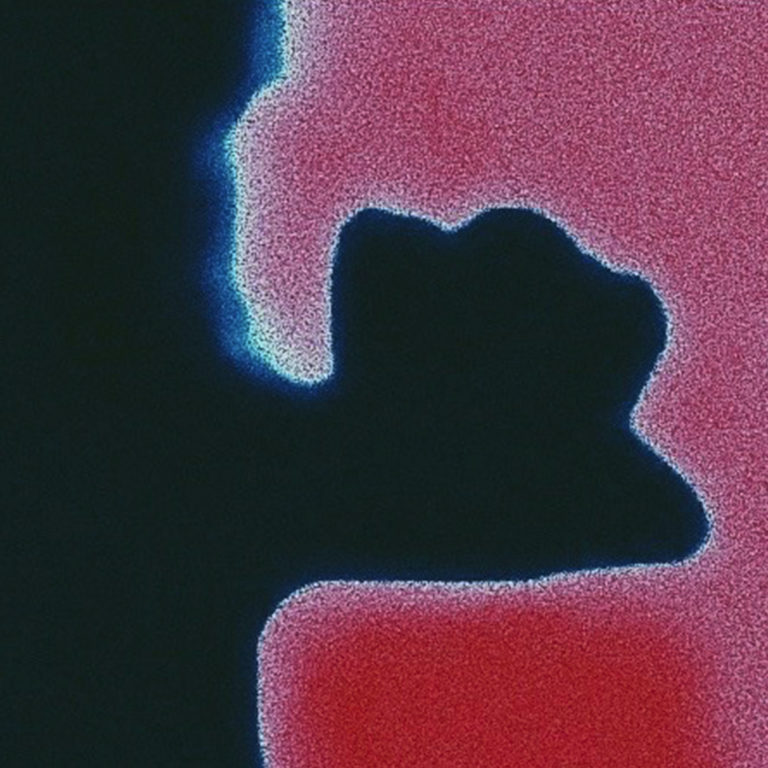 bloody white - im busy