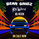 Bear Grillz Bassrush Park N Rave