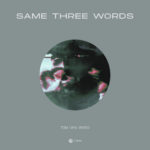 Tim Van Werd - Same Three Words
