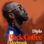 Black Coffee & Diplo - Never Gonna Forget ft. Elderbrook