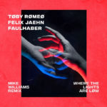 Where The Lights Are Low - Mike Williams Remix