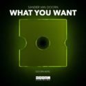Sander Van Doorn dishes driving techno heater, ‘What You Want’