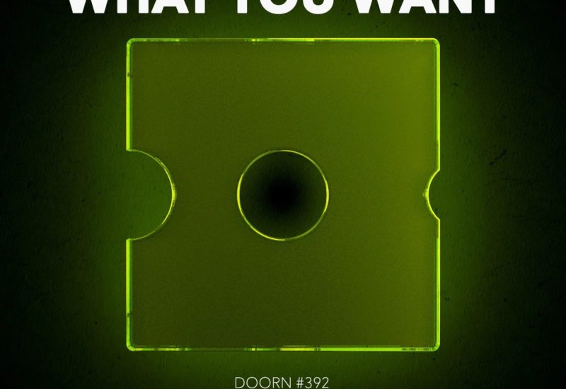 Sander Van Doorn - What You Want