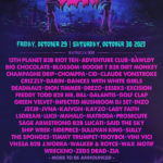 Freaky Deaky 2021 lineup