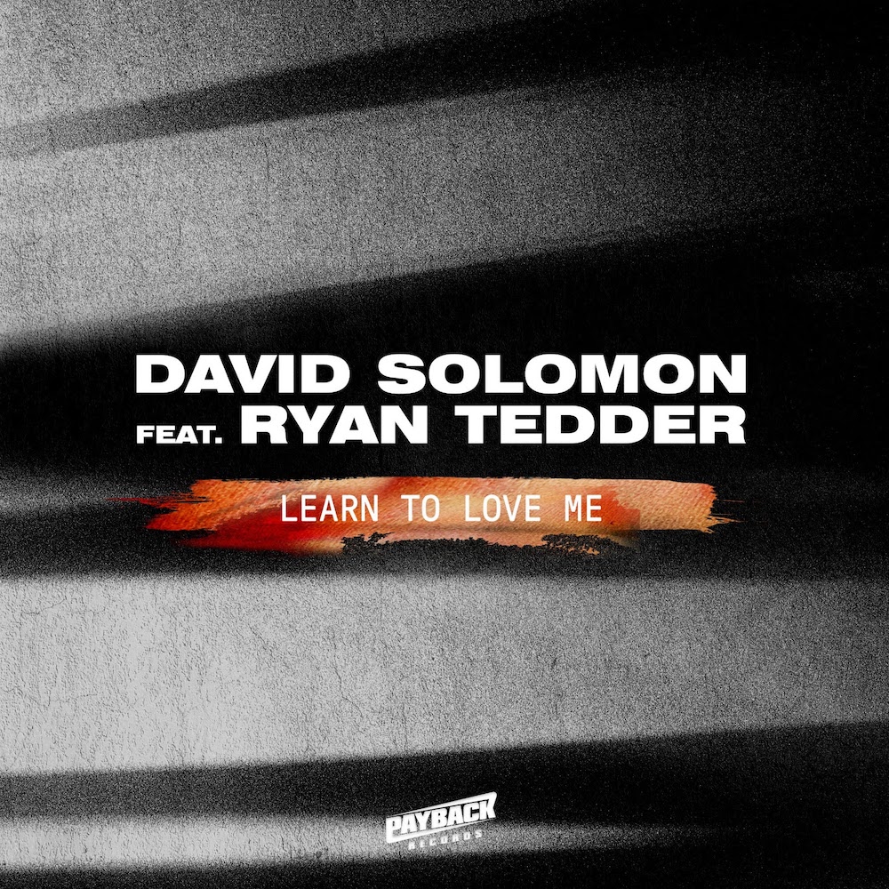 David Solomon ft. Ryan Tedder - Learn To Love Me