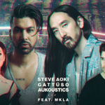 Steve Aoki, GATTUSO, Aukoustics - Losing My Religion
