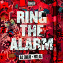 DJ Snake & Malaa dish monstrous collaboration, ‘Ring The Alarm’