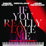 David Guetta, MistaJam - If You Really Love Me