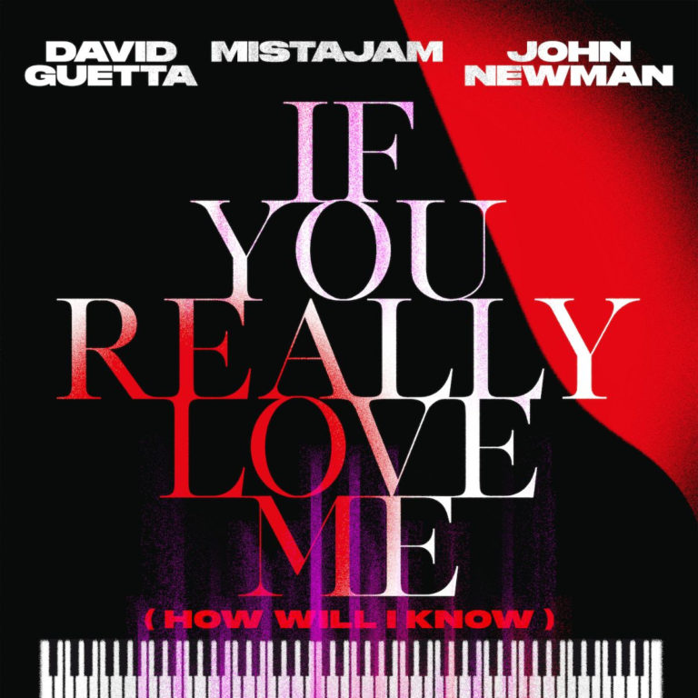 David Guetta, MistaJam - If You Really Love Me