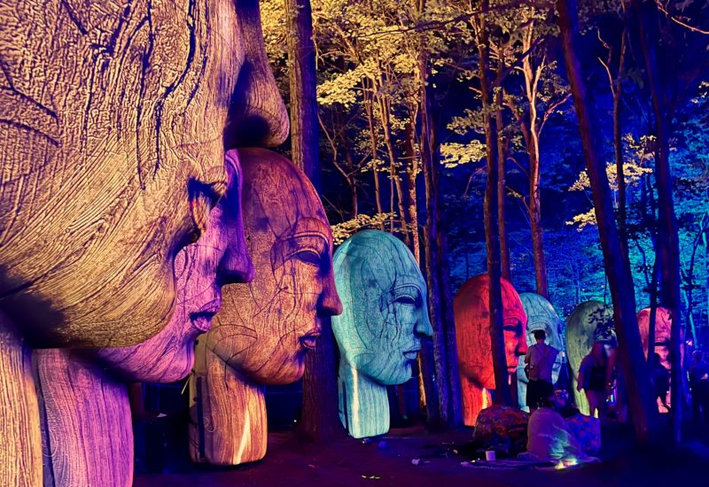 Elements Music Festival - Highlights from 2025