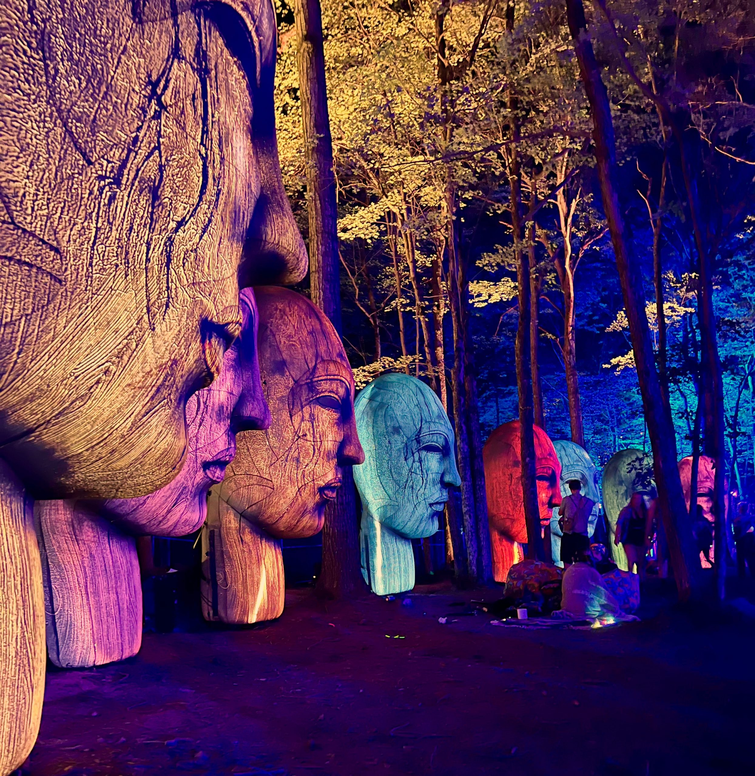 Elements Music Festival - Highlights from 2025